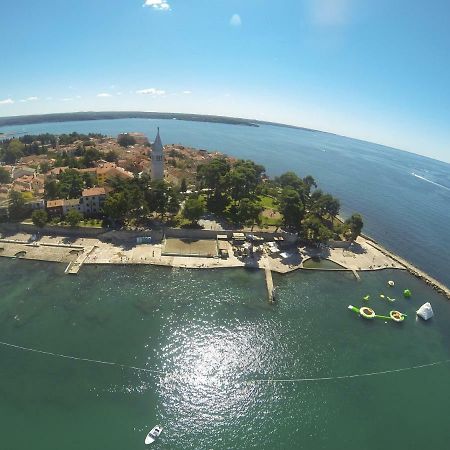 Apartma Jelka Novigrad Istria Esterno foto