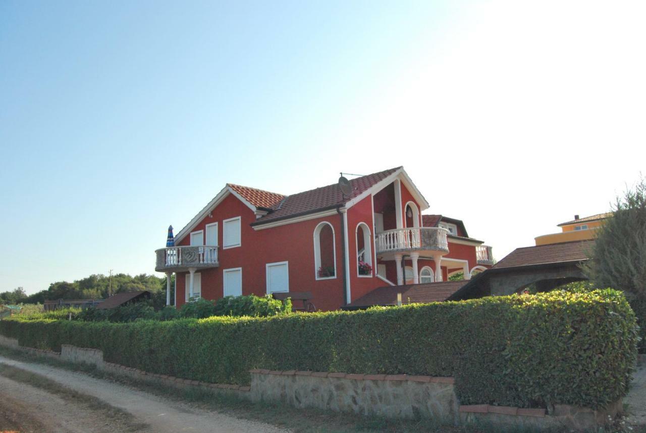 Apartma Jelka Novigrad Istria Esterno foto