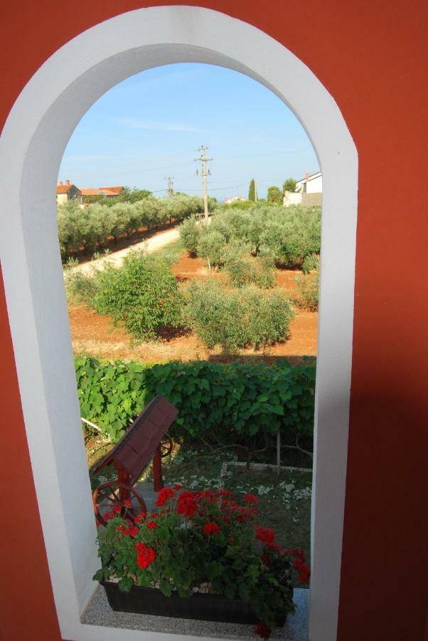 Apartma Jelka Novigrad Istria Esterno foto