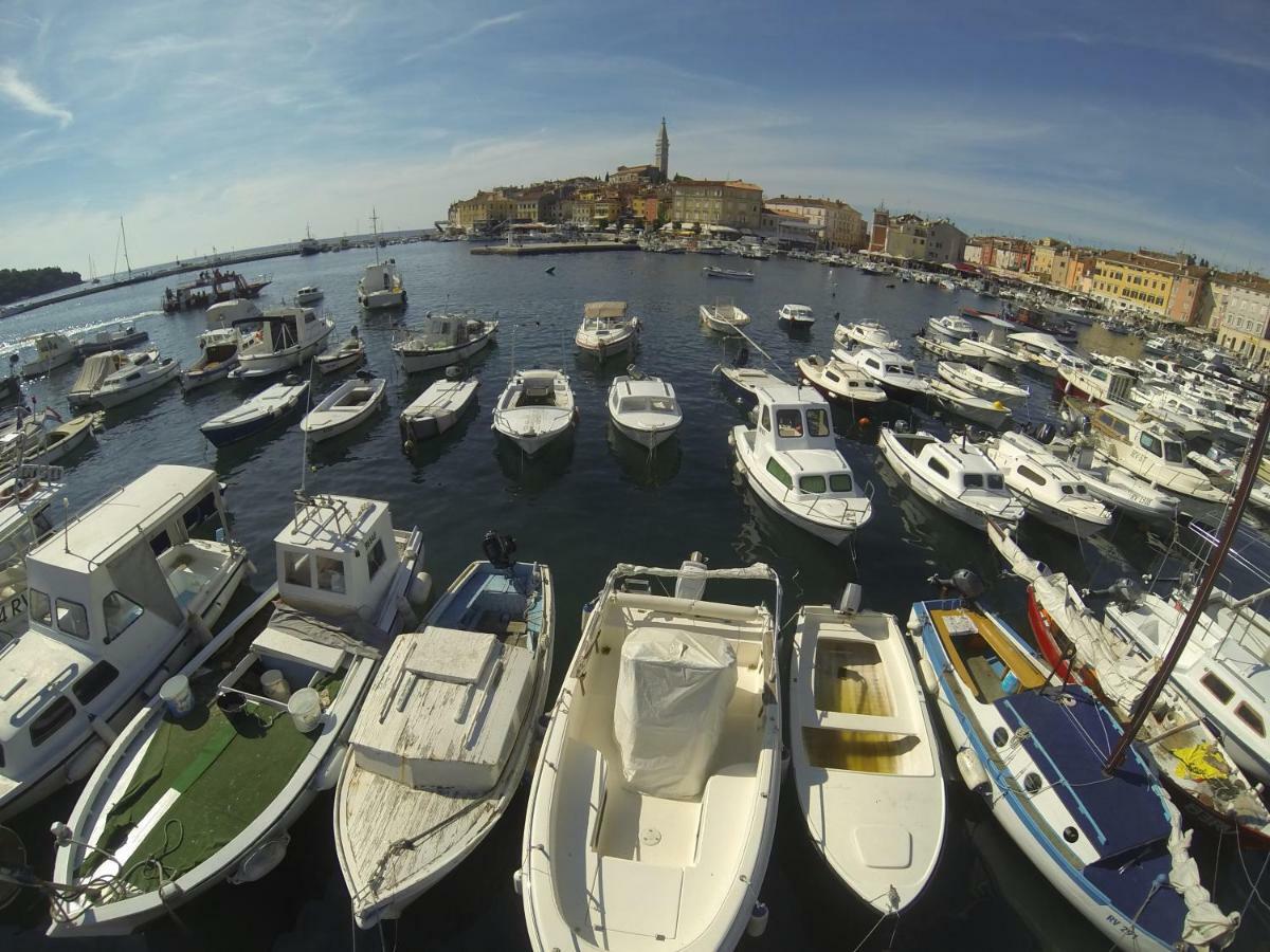 Apartma Jelka Novigrad Istria Esterno foto