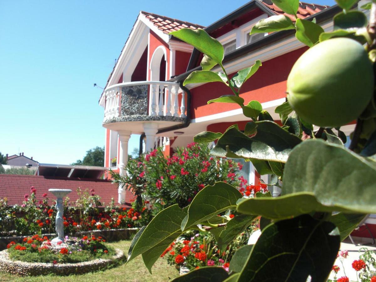 Apartma Jelka Novigrad Istria Esterno foto