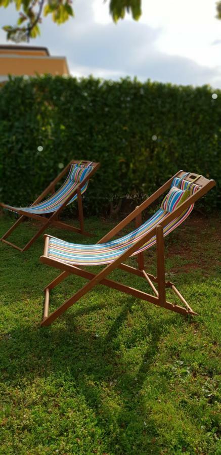 Apartma Jelka Novigrad Istria Esterno foto
