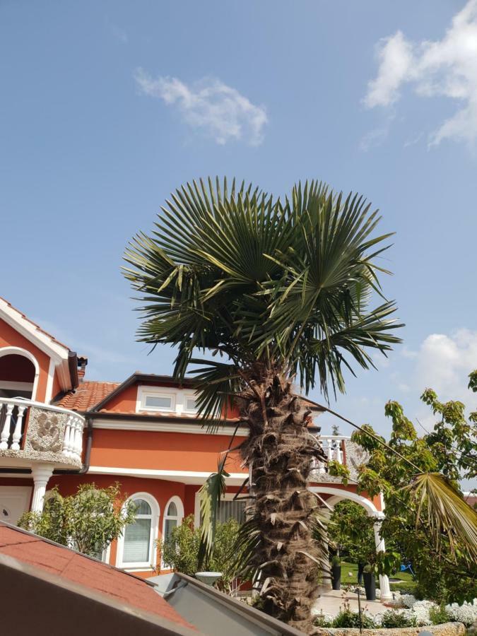 Apartma Jelka Novigrad Istria Esterno foto